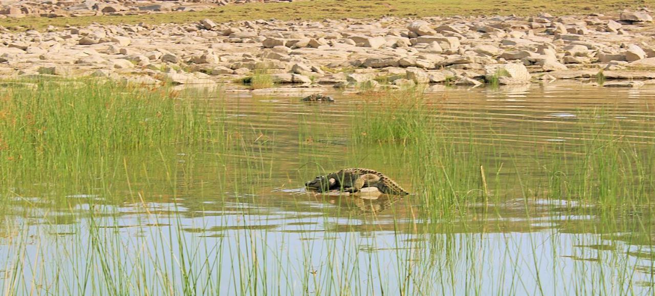 Bhadrawati - A Riverside Safari Lodge Ranthambore Eksteriør billede